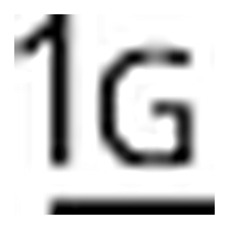 1GServer logo