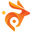 Bunny.net 公司 Logo