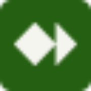 Neteller 公司 Logo