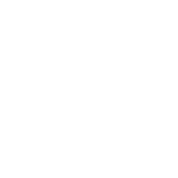 QuadraNet 公司 Logo