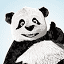 TinyPNG company logo