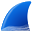 Wireshark 公司 Logo