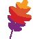 Apache Software Foundation 服务商 Logo