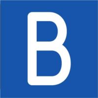 BlueSnap 服务商 Logo