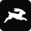 Directus 服务商 Logo